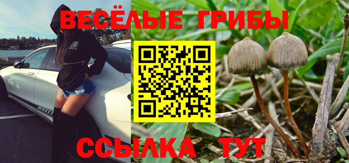 Галлюциногенные грибы ЛСД Ишимбай
