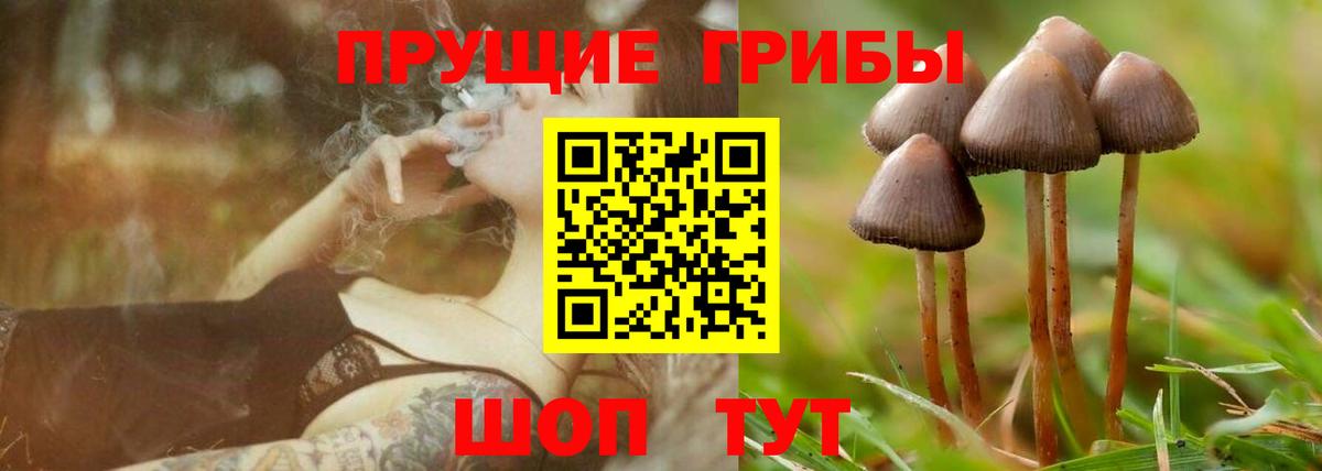 Псилоцибиновые грибы MAGIC MUSHROOMS  Вход с VPN  Ишимбай 